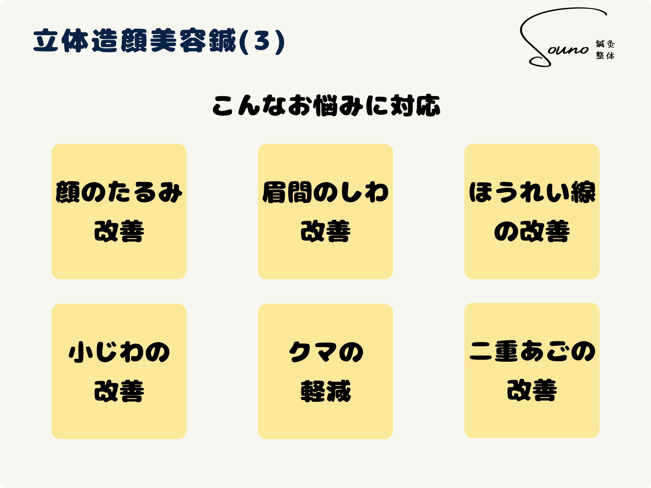 立体造顔美容鍼について