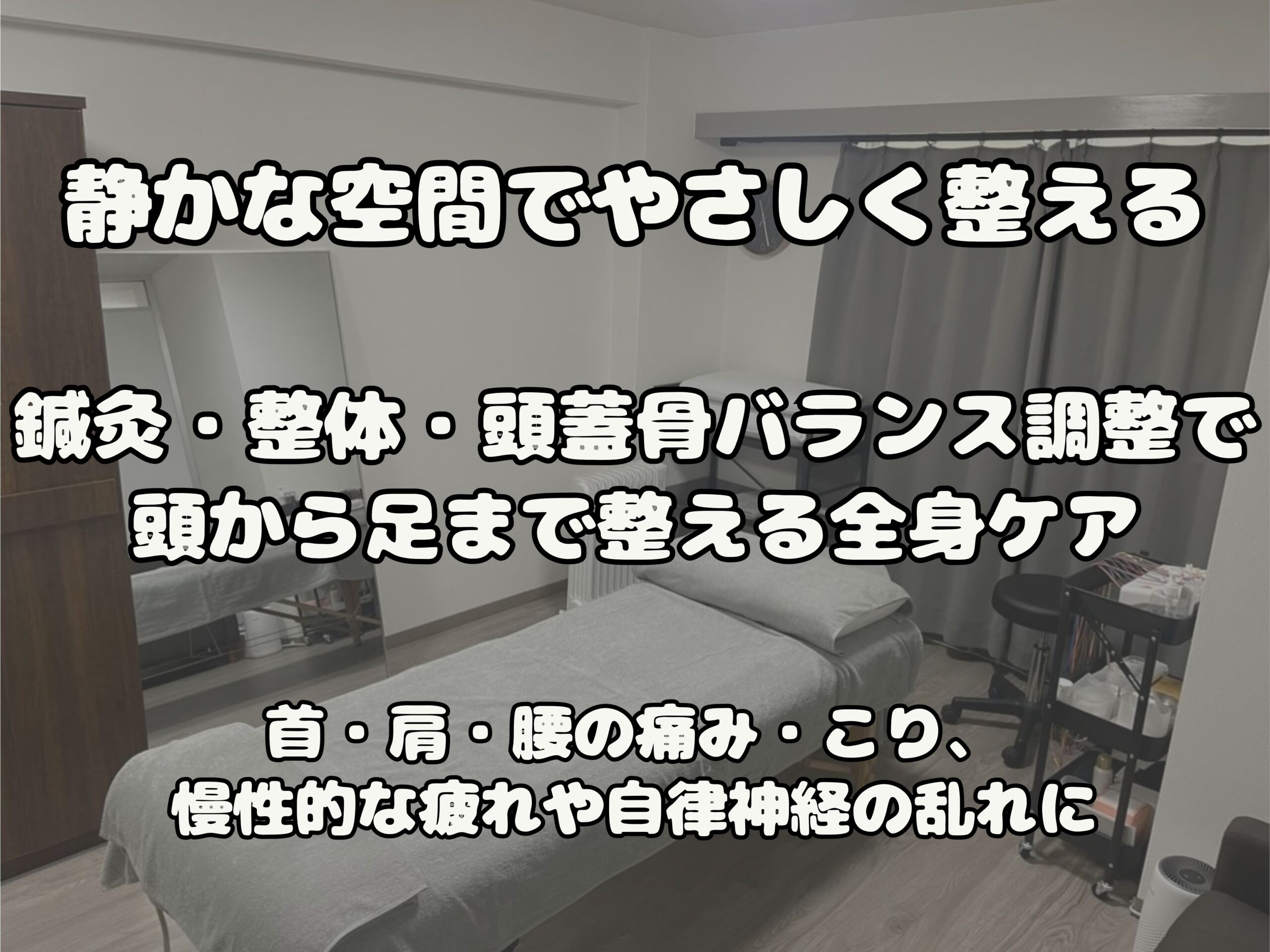 ホームページ MV-1